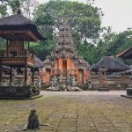 monkey forest temple