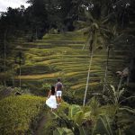 tegalalang rice terraces